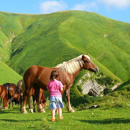 Agroturismo Mari Cruz Villanueva de Arce Esterno foto
