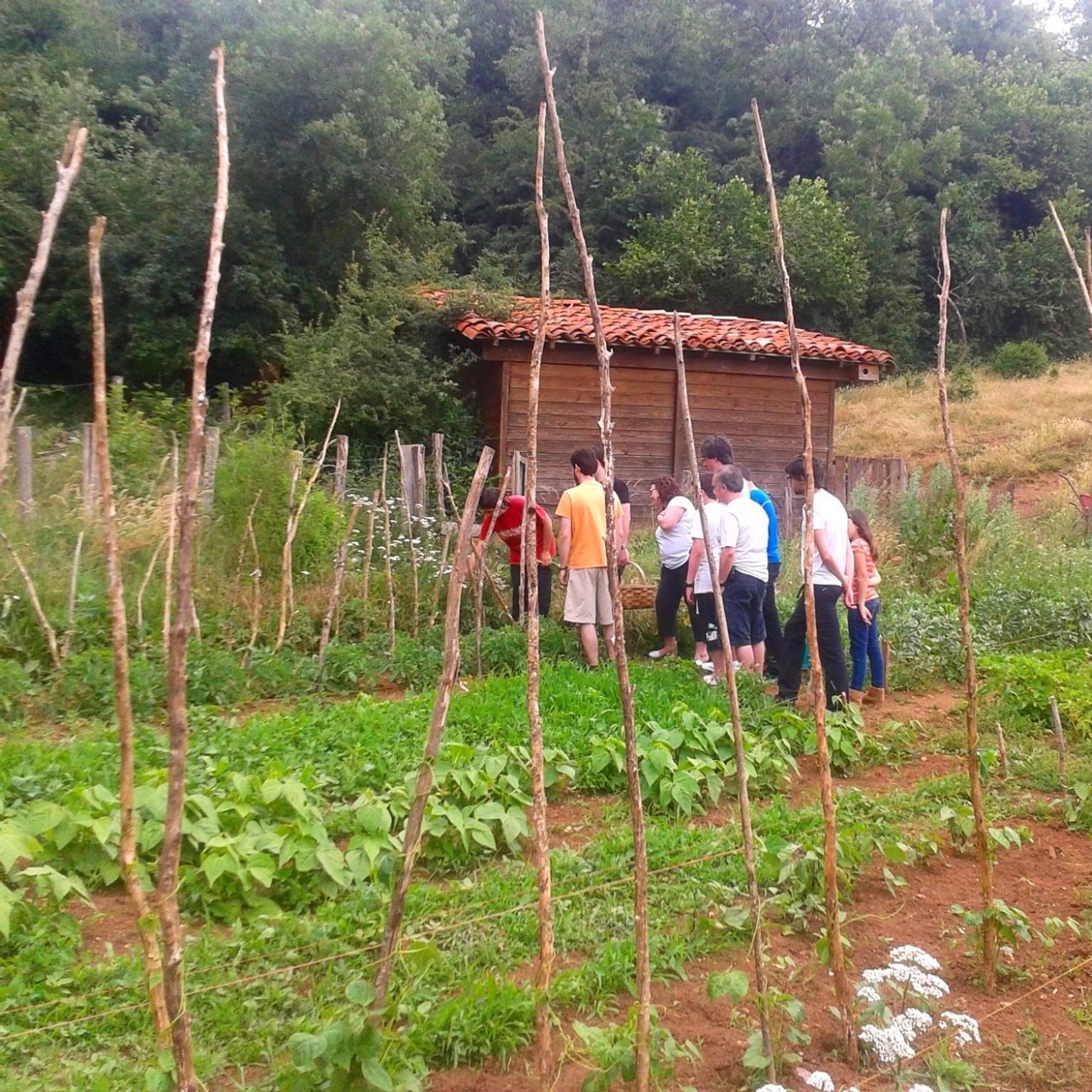 Agroturismo Mari Cruz Villanueva de Arce Esterno foto
